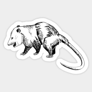 opossum Sticker